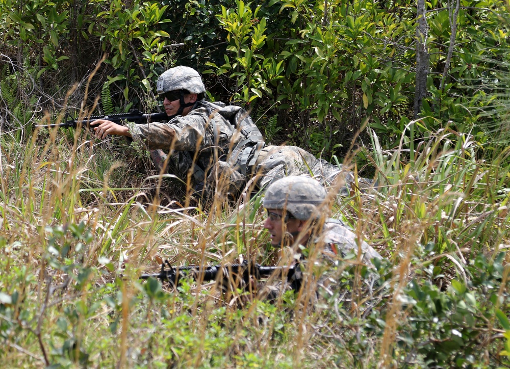 Hawaii Best Warrior Competition