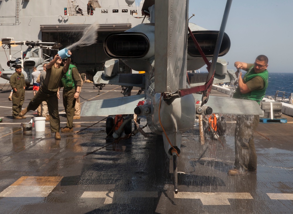 Cleaning the Cobra