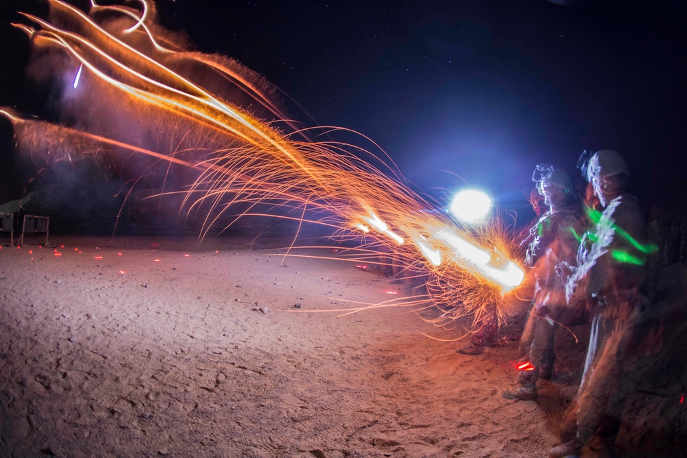 Exercise Sea Soldier 2017 - Battalion Landing Team 1/4