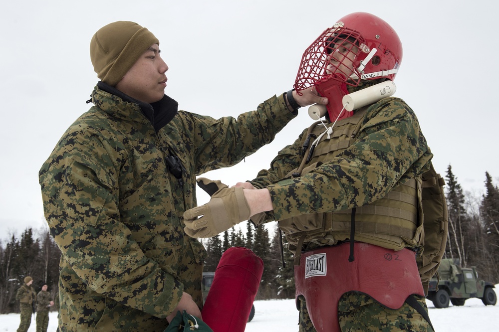 Alaska Marines conduct pugil stick training