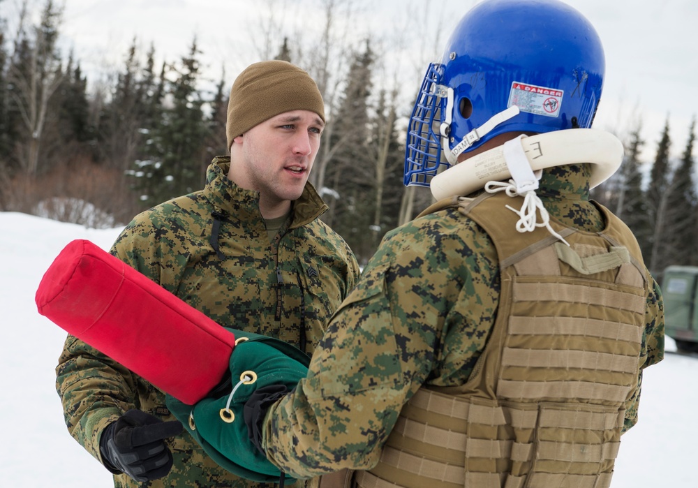 Alaska Marines conduct pugil stick training