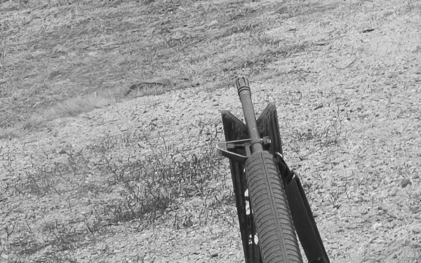 Aiming To Win The Best Warrior Competition