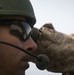 Texas Marine reservists conduct live fire exercise in Republic of Korea