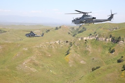 45 years in the making: HMLA-369 celebrates anniversary