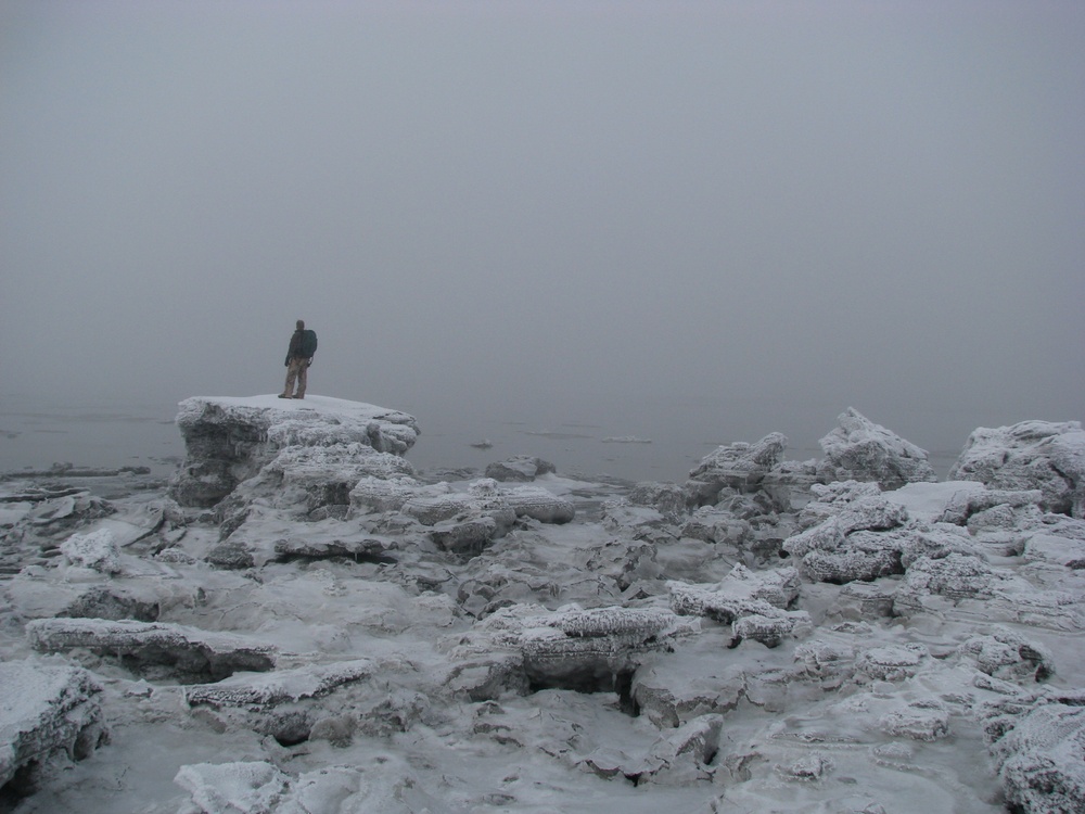 Beluga Whale Conservation Effort Cook Inlet