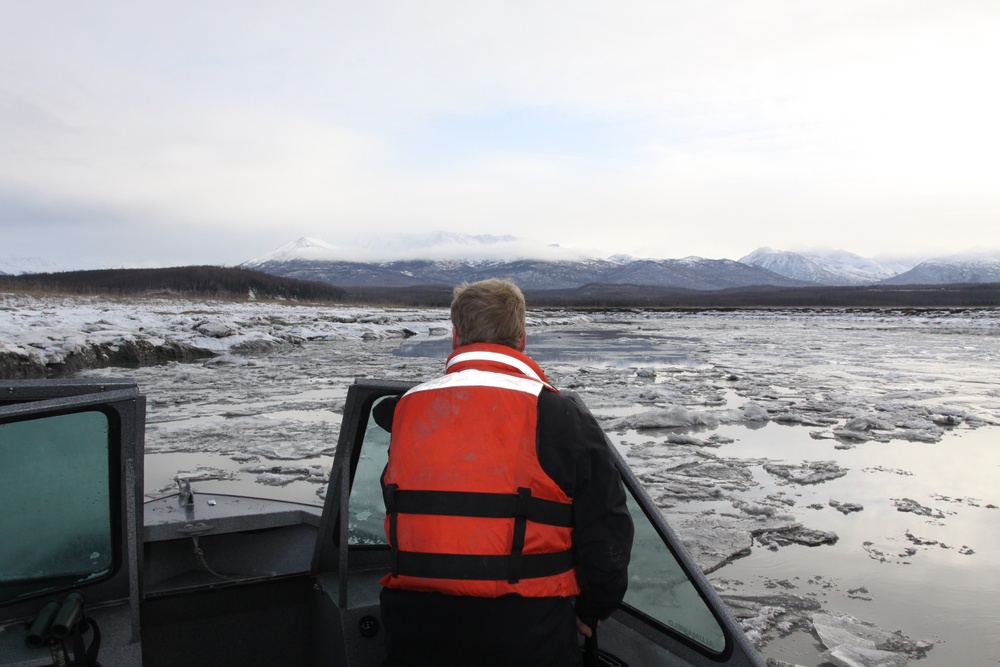 Beluga Whale Conservation Effort Cook Inlet