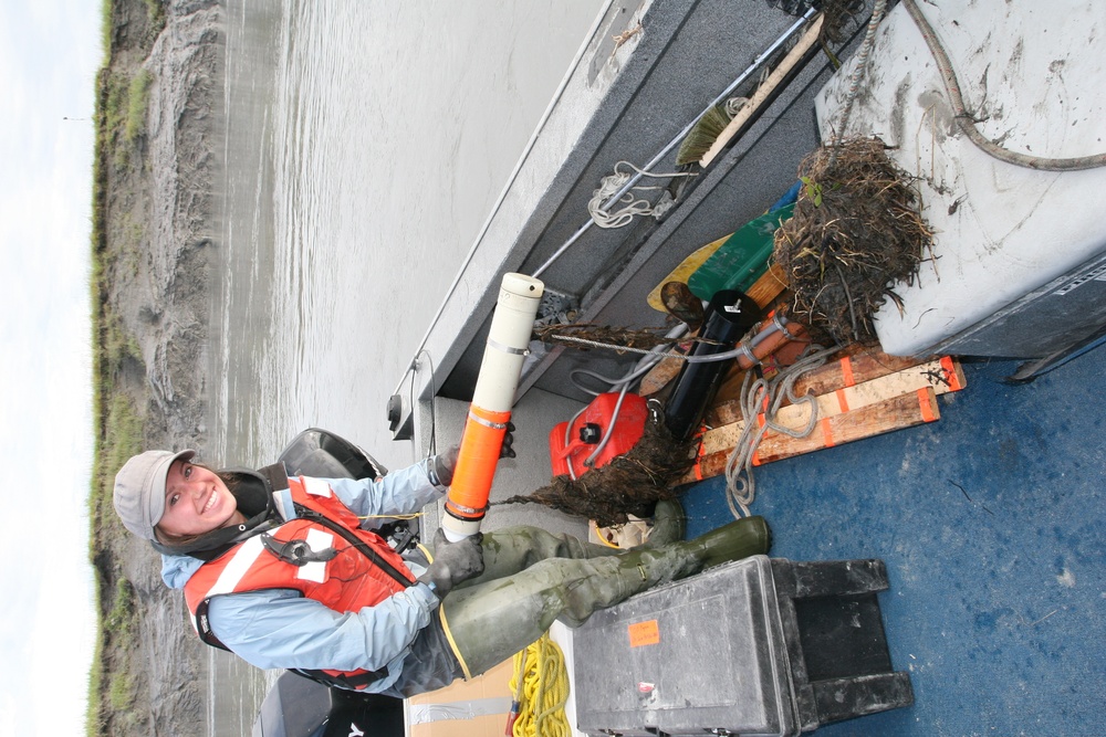 Beluga Whale Conservation Effort Cook Inlet