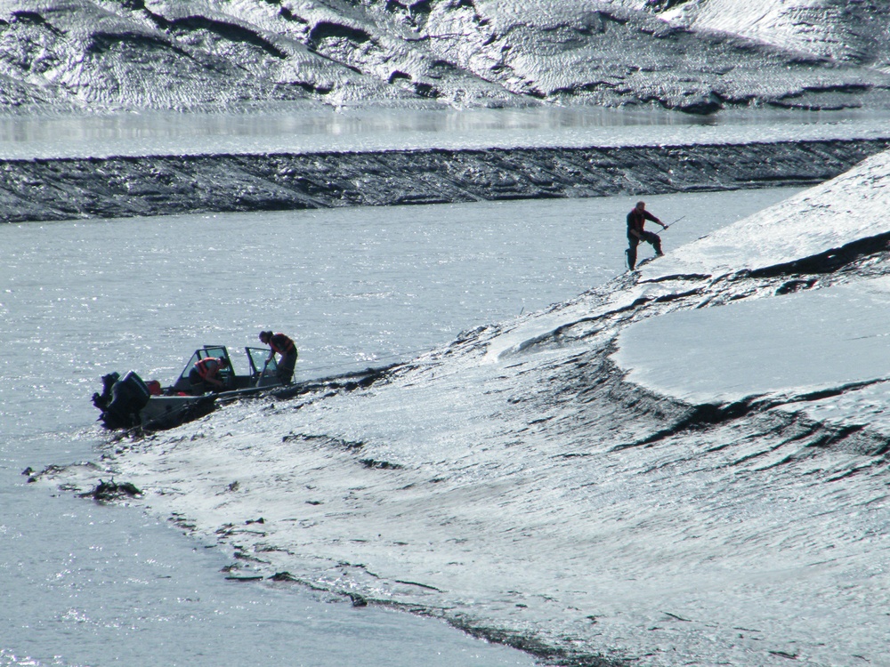 Beluga Whale Conservation Effort Cook Inlet