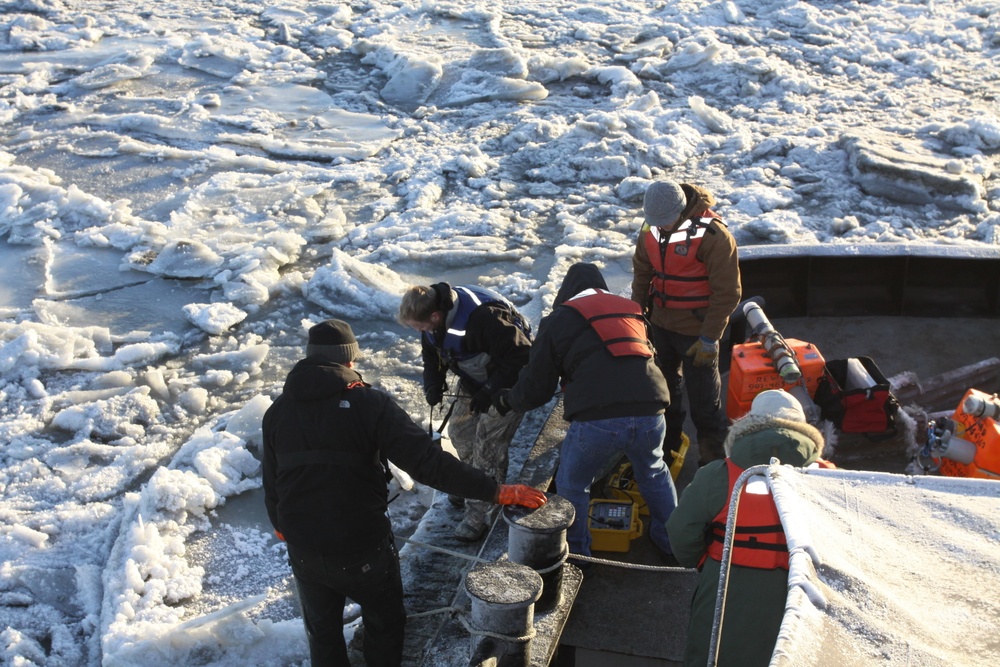 Beluga Whale Conservation Effort Cook Inlet