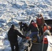 Beluga Whale Conservation Effort Cook Inlet