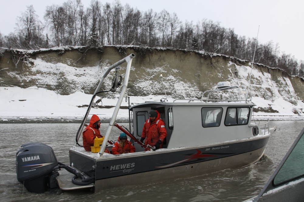 Beluga Whale Conservation Effort Cook Inlet