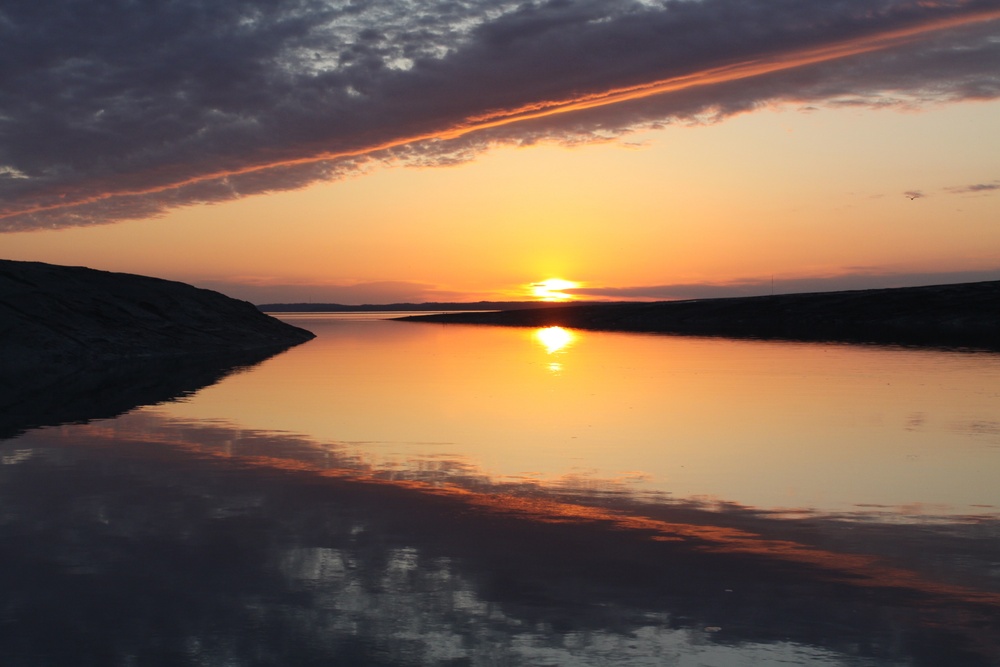 Beluga Whale Conservation Effort Cook Inlet