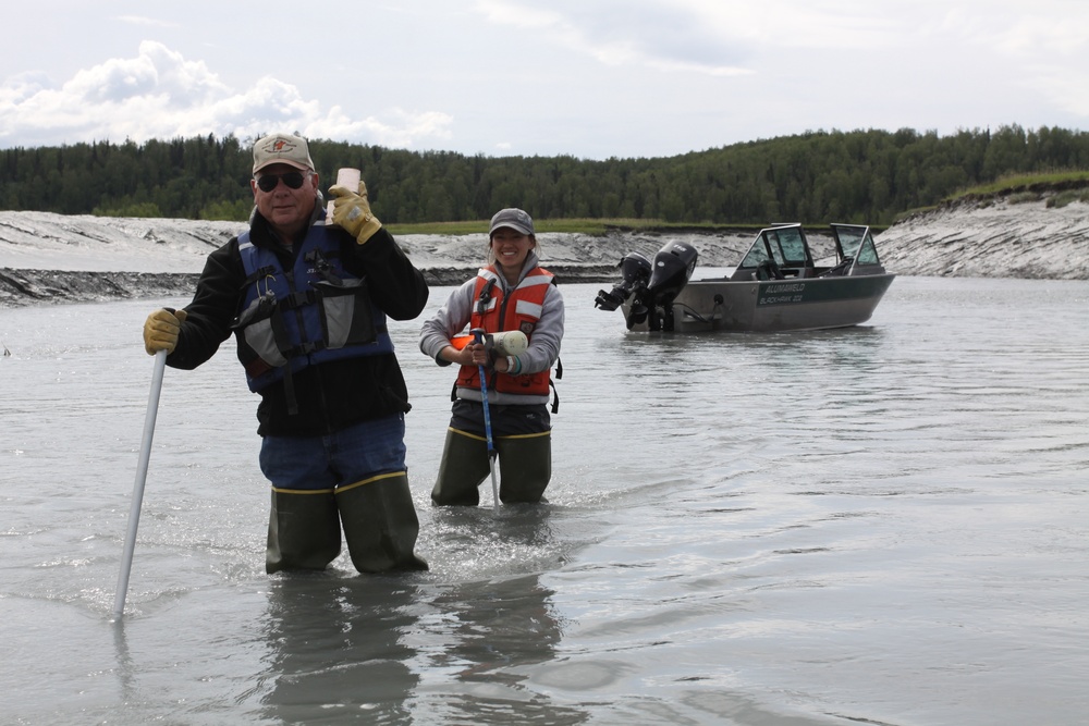 Beluga Whale Conservation Effort Cook Inlet