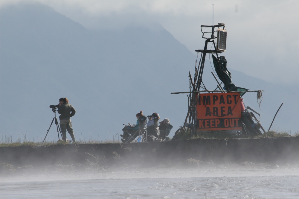 Beluga Whale Conservation Effort Cook Inlet