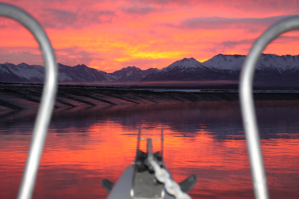 Beluga Whale Conservation Effort Cook Inlet