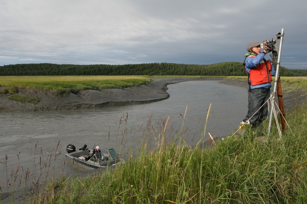 Beluga Whale Conservation Effort Cook Inlet