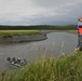 Beluga Whale Conservation Effort Cook Inlet