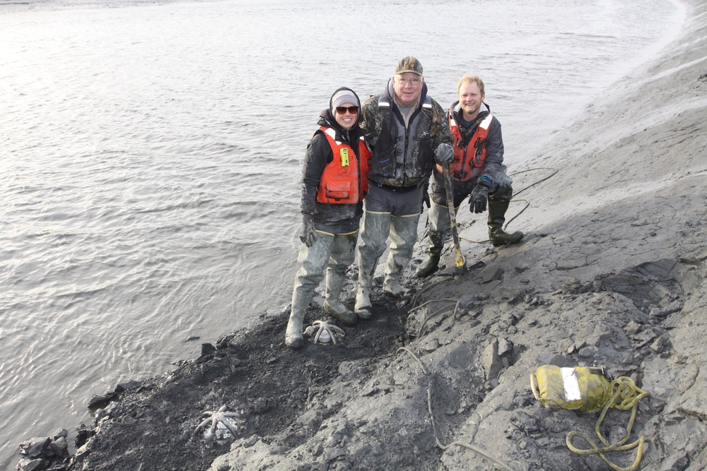 Beluga Whale Conservation Effort Cook Inlet