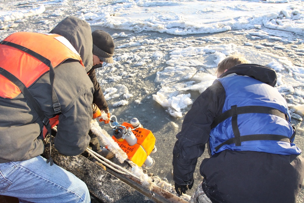 Beluga Whale Conservation Effort Cook Inlet