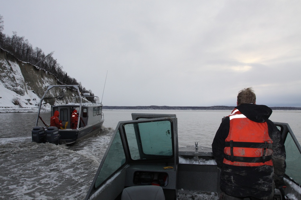 Beluga Whale Conservation Effort Cook Inlet