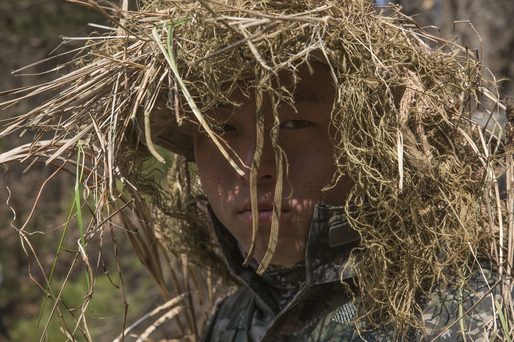 U.S., Republic of Korea Marines conduct stalk lanes