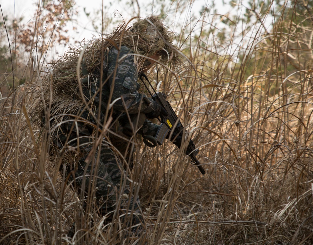 U.S., Republic of Korea Marines conduct stalk lanes