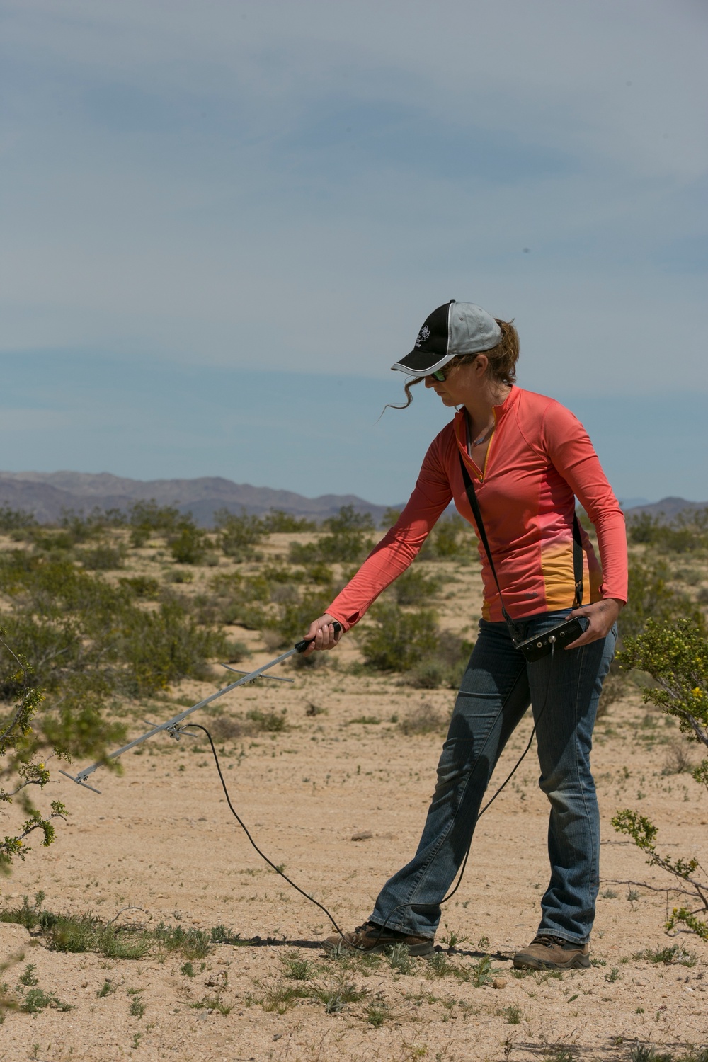 TRACRS makes 2nd tortoise release