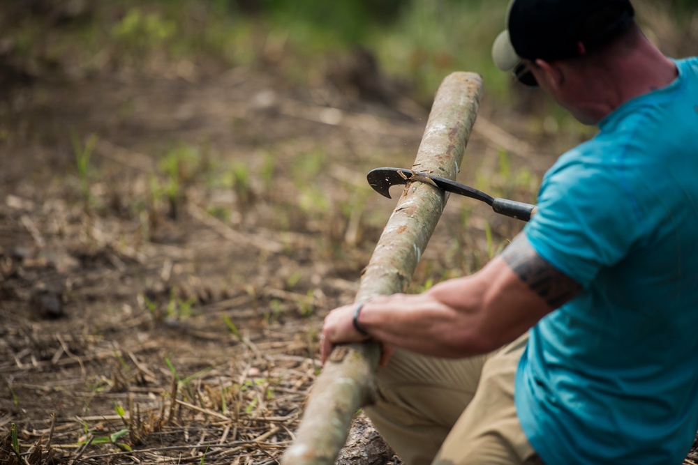 Choppin' Wood