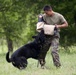 Marine Detachment Lackland Military Working Dog Handlers Course