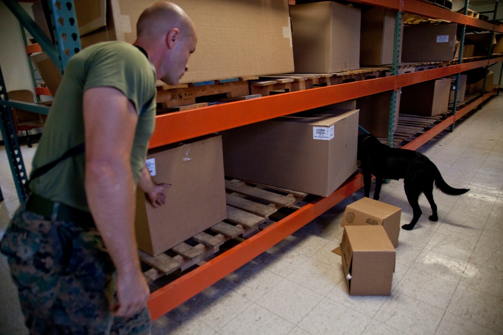 Marine Detachment Lackland Military Working Dog Handlers Course