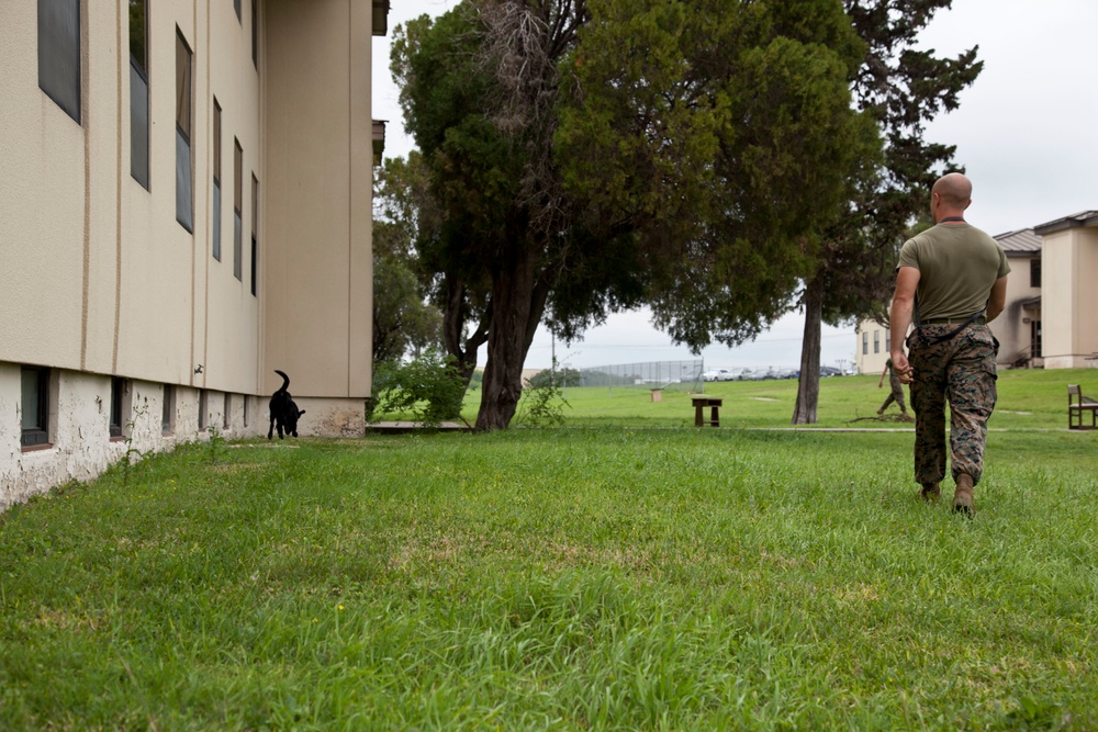 Marine Detachment Lackland Military Working Dog Handlers Course