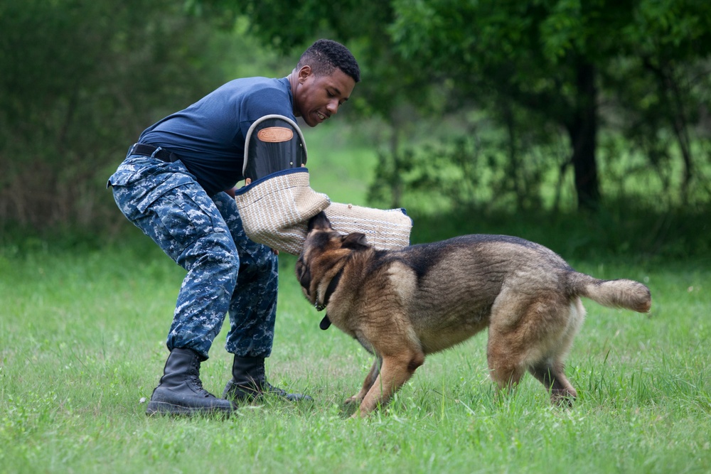 Marine Detachment Lackland Military Working Dog Handlers Course