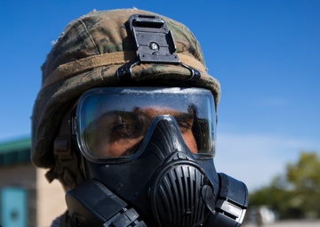 Headquarter Battalion, 1st Marine Division conducts a Mass Casuality Evacuaction Drill