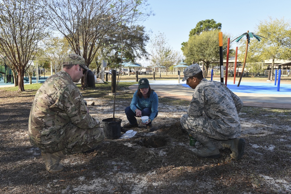 CE thinks green, plants trees ahead of Arbor Day
