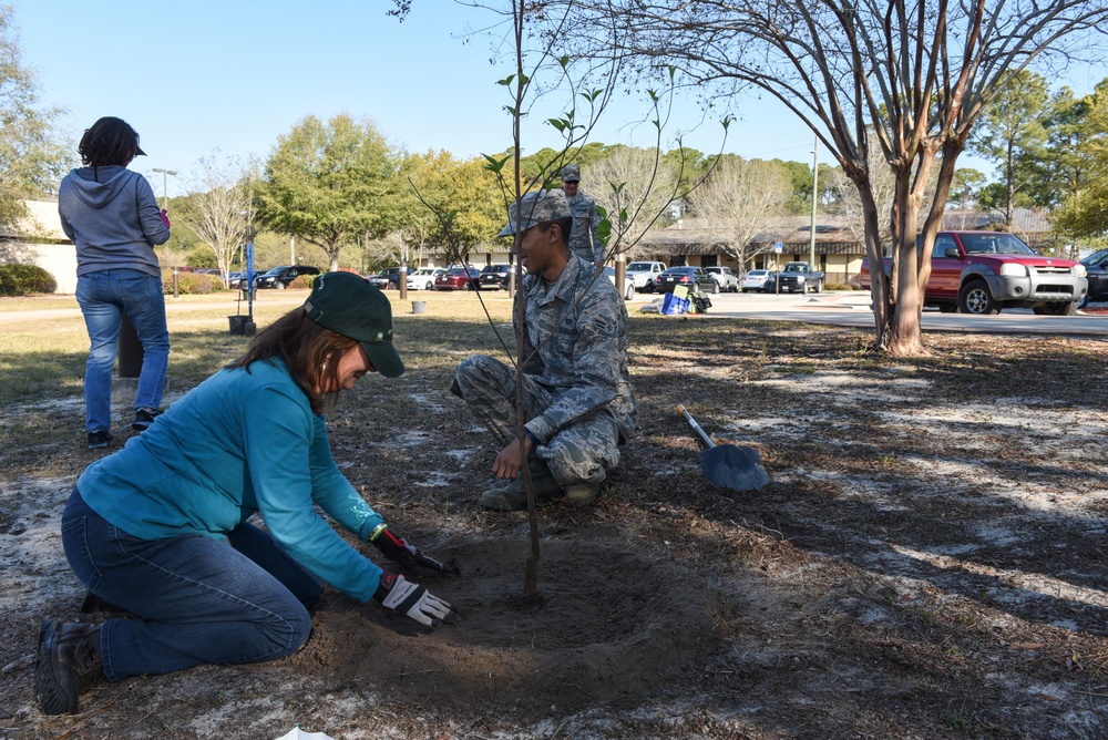 CE thinks green, plants trees ahead of Arbor Day