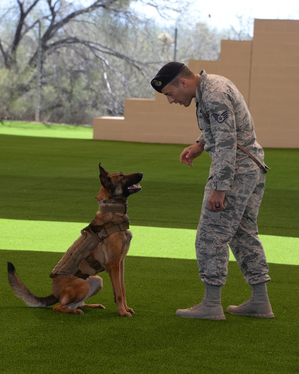 MWDs, handlers receive new training facility