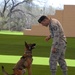 MWDs, handlers receive new training facility