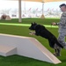 MWDs, handlers receive new training facility