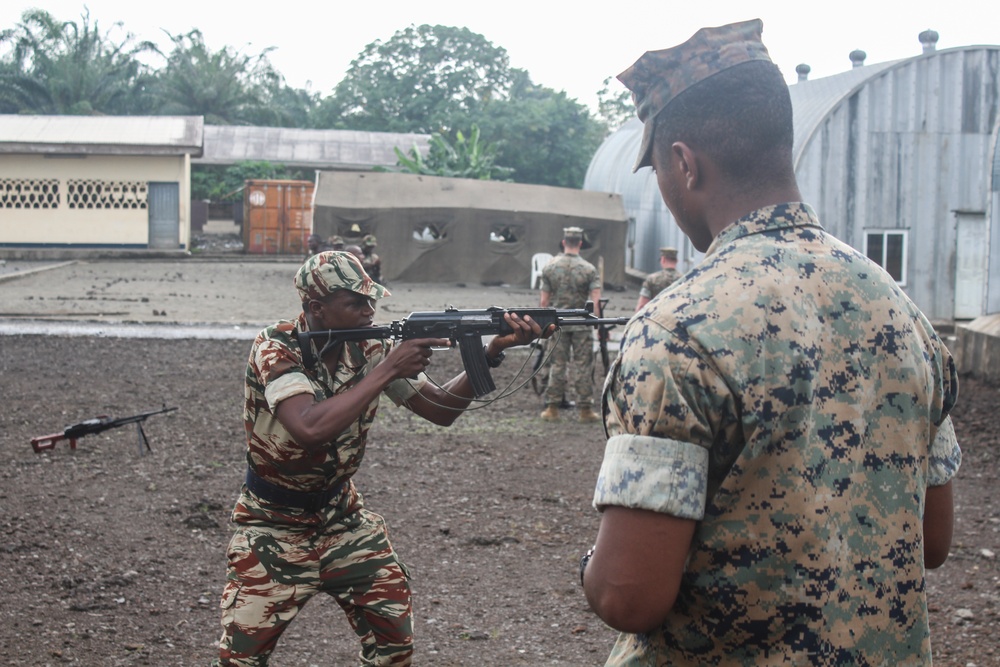 U.S., Cameroon strengthen battle tactics together