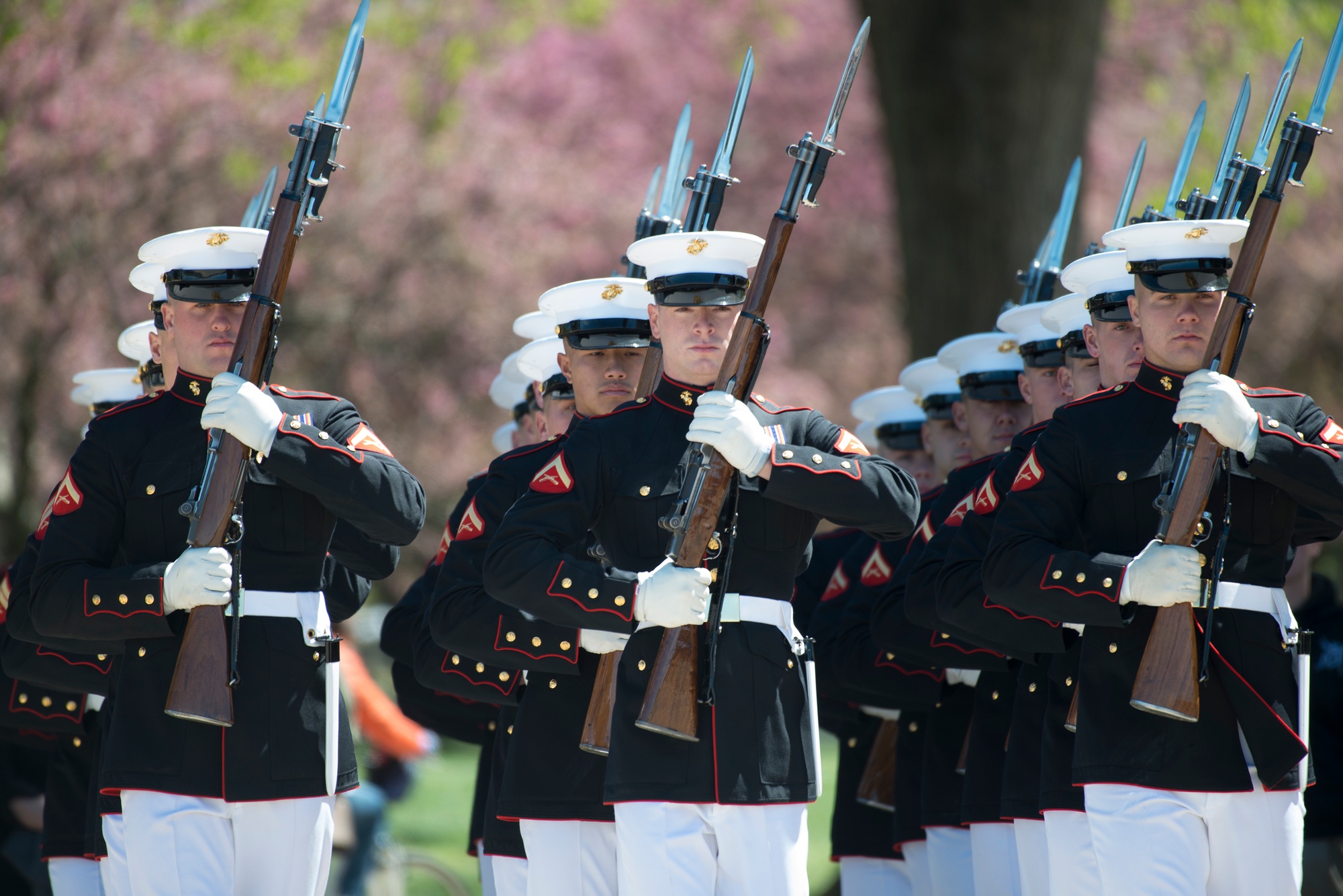 AF Honor Guard blossoms in joint drill exhibition > Air Force