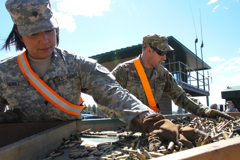 Operation Cold Steel 2017