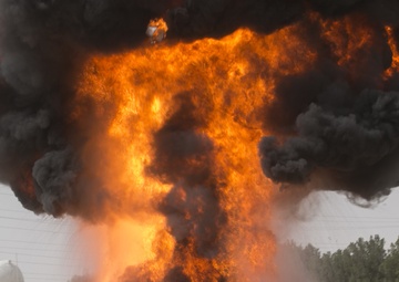 Greywolf Troopers train with international partners, build interoperability