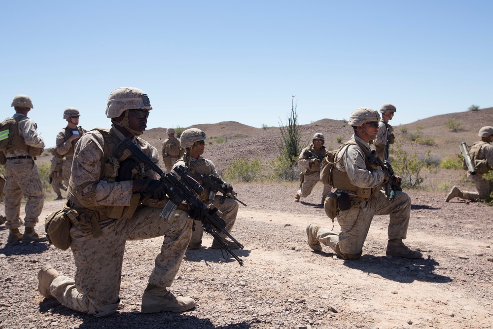 Echo Company: Platoon Attacks at TalonEx 2-17