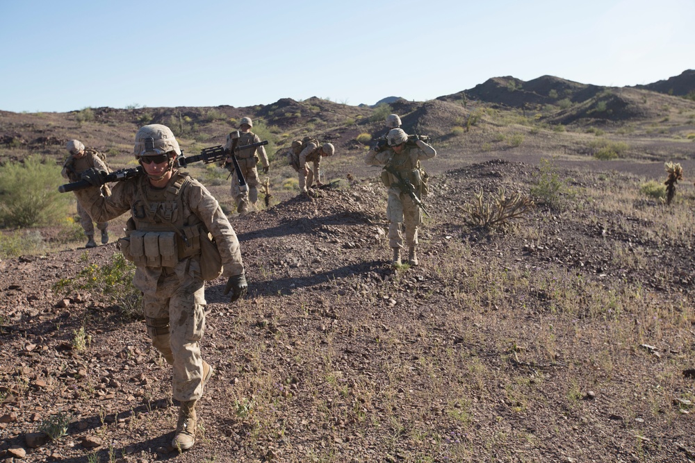 DVIDS - Images - Echo Company: Platoon Attacks at TalonEx 2-17 [Image ...