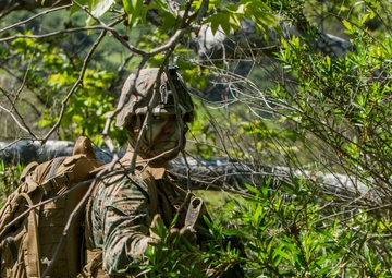Preparing Preparing for Anything: 3rd Battalion, 5th Marine Regiment MCCRE