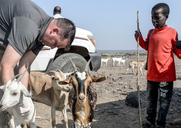 US Soldiers provide veterinarian assistance