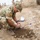 British EOD soldiers train ISF on IED disposal British EOD soldiers train ISF on IED disposal