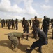 U.S. Marines teach tactics to Benin police