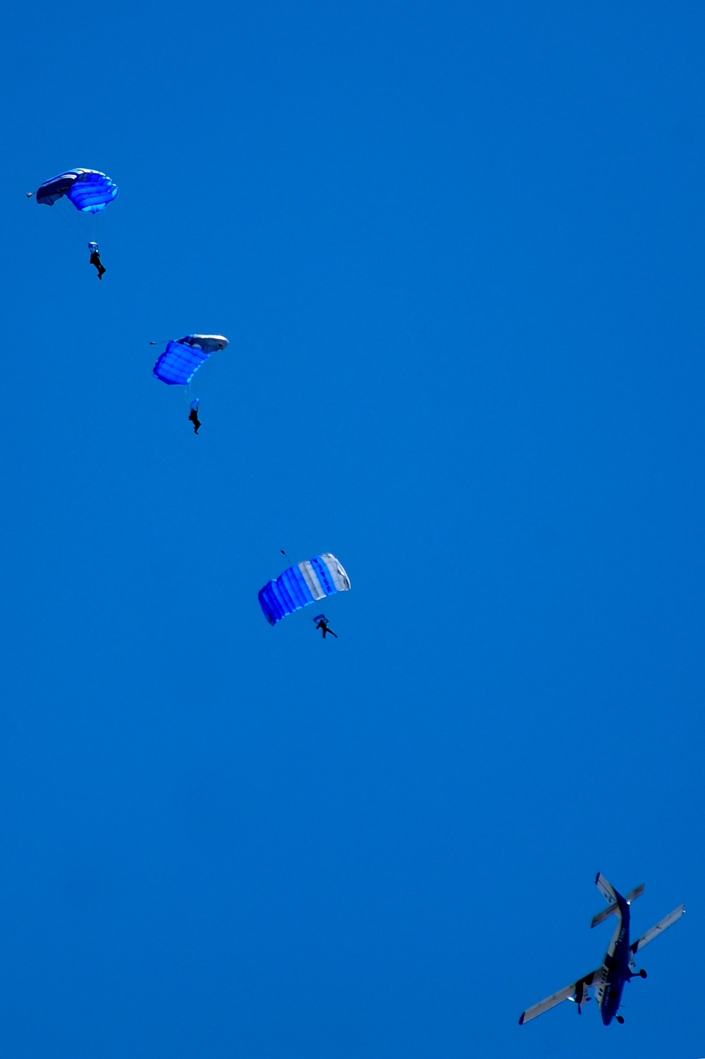 Wings of Blue Parachute Team