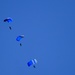 Wings of Blue Parachute Team